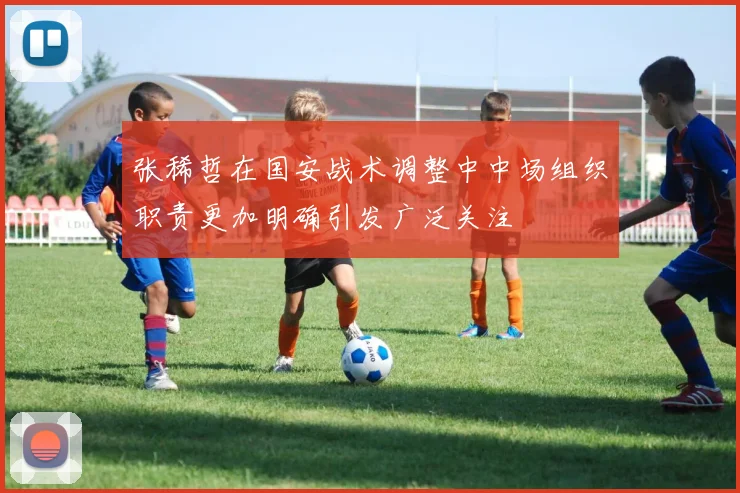 张稀哲在国安战术调整中中场组织职责更加明确引发广泛关注